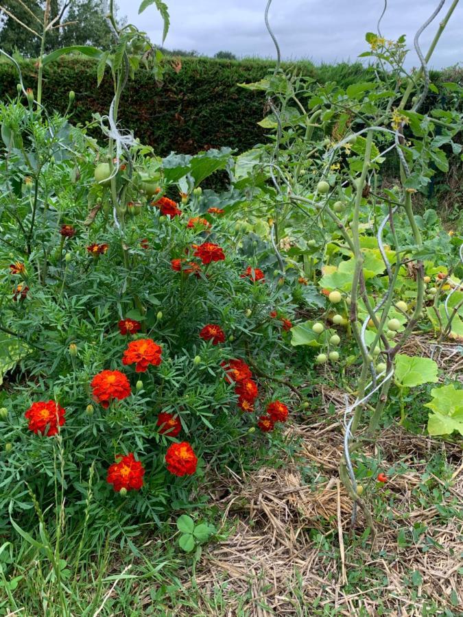 Sevremont La Basse Monniere B&B 외부 사진